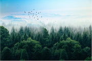 Flug im Nebel — Fototapete · Foto 34