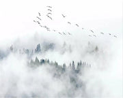 Flug im Nebel — Fototapete · Foto 2