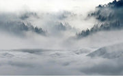 Flug im Nebel — Fototapete · Foto 15