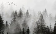 Flug im Nebel — Fototapete · Foto 21