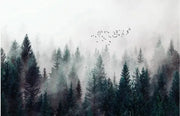 Flug im Nebel — Fototapete · Foto 14