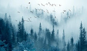 Flug im Nebel — Fototapete · Foto 40