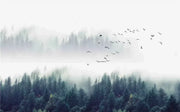 Flug im Nebel — Fototapete · Foto 27