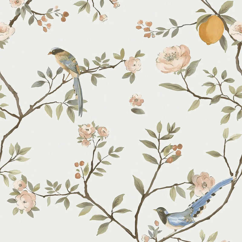 Oiseaux & agrumes — papier peint en rouleau