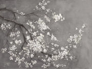 Kirschblüten — Fototapete · Foto 11