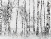 Paysage gravé — aperçu du décor, vue 15