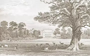 Forêt de gravure — aperçu du décor, vue 21