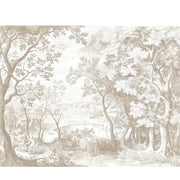 Nebelwald — Fototapete · Foto 4