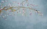 Magnolienzweige — Fototapete · Foto 22