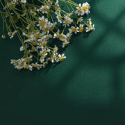 Matte Farbpalette — Möbelfolie · Foto 12