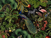 Tropische Tierwelt — Fototapete · Foto 32