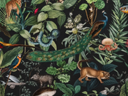 Tropische Tierwelt — Fototapete · Foto 64