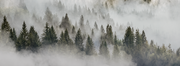 Flug im Nebel — Fototapete · Foto 70