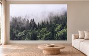 Flug im Nebel — Fototapete · Foto 66