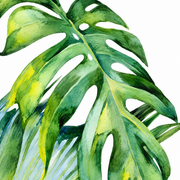 Feuillage tropical — motif 3, détail du feuillage du dessin visible