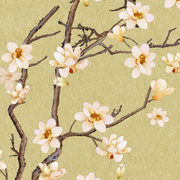 Magnolienzweige — Fototapete · Foto 55