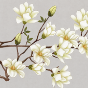 Magnolienzweige — Fototapete · Foto 74