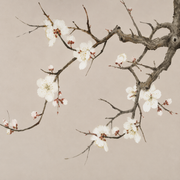 Magnolienzweige — Fototapete · Foto 88