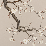 Magnolienzweige — Fototapete · Foto 89