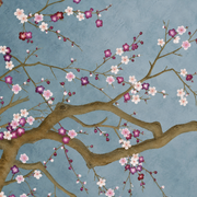 Magnolienzweige — Fototapete · Foto 96