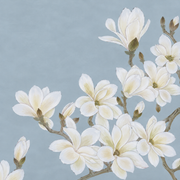 Magnolienzweige — Fototapete · Foto 103