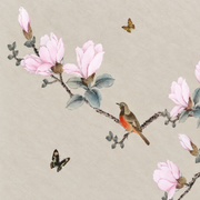 Magnolienzweige — Fototapete · Foto 108
