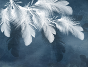 Papier peint Plumes de soie, Motif 8, détail de la branche blanche à gauche.