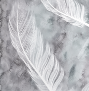 Papier peint Plumes de soie, Motif 9, détail de la plume blanche à gauche.