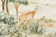 Safari des petits — motif 19, détail de l’antilope et des plantes du papier peint